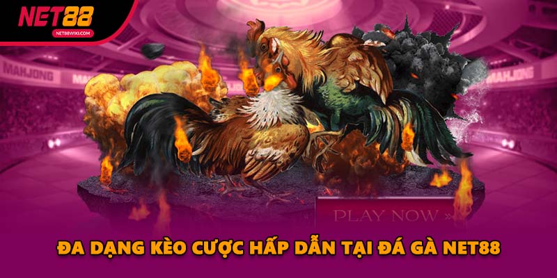 Đa dạng kèo cược hấp dẫn tại Đá Gà NET88
